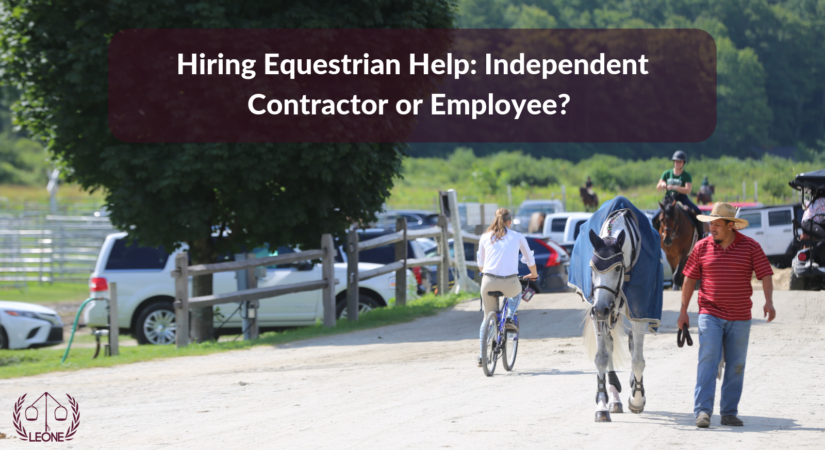 Equestrian job vacancies leicestershire