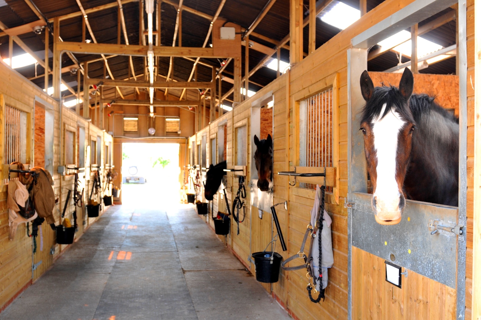 I’m a Barn Owner with Unpaid Boarding Bills: Now What? – Leone ...