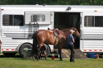 A Case for Revitalizing the Local Horse Show