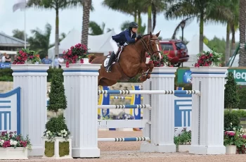 Between Rounds: Why Team Selections Need A National Jumping Championship