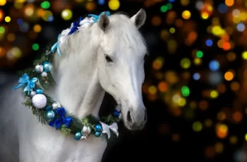 Gift Horse: It’s Not The Cost Of The Holiday Pony That Holds Value For Your Child