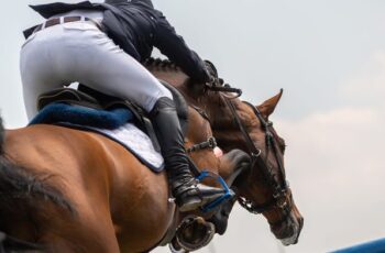 Opinion: Overcrowded CSI Calendar Means Too Many Stars, Not Enough Shine